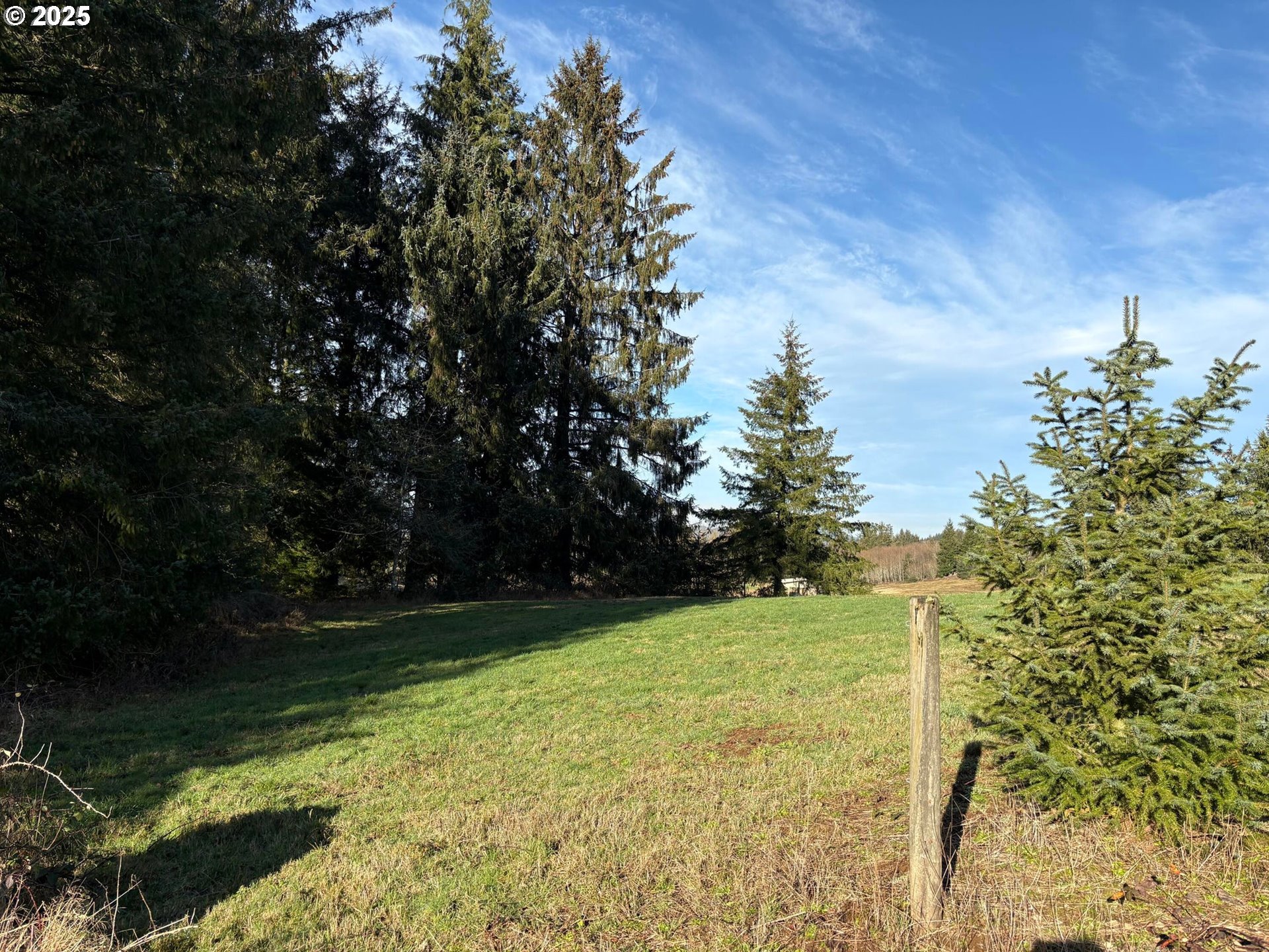 Hurliman Hill Road Tillamook, OR 97141 - Photo 6 of 8 Gallery Image 6