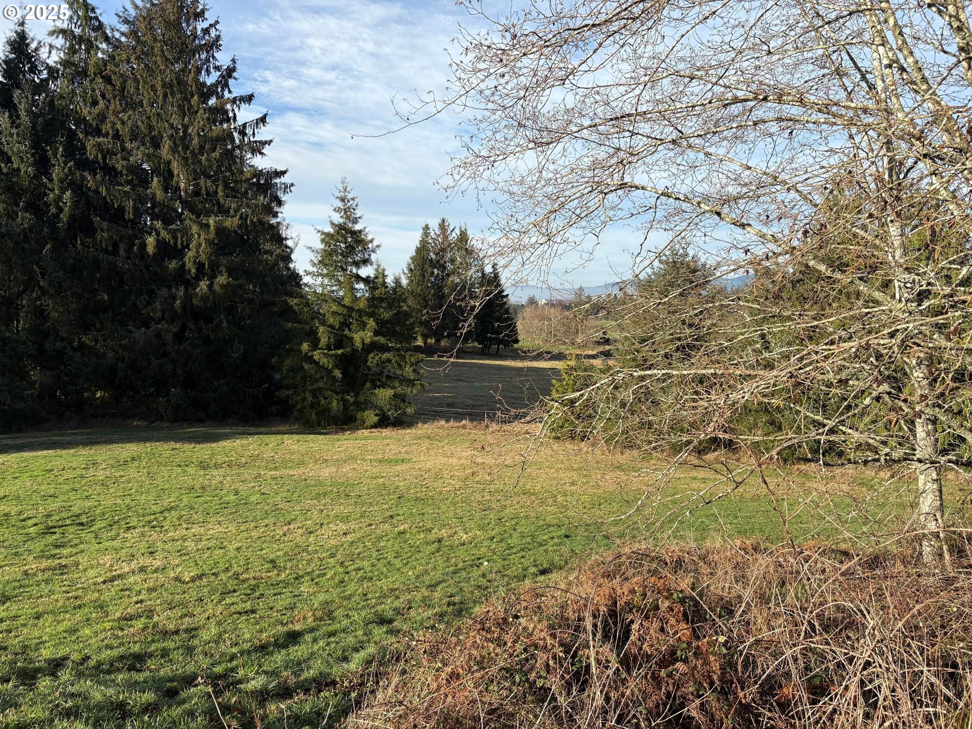 Hurliman Hill Road Tillamook, OR 97141 - Photo 7 of 8 Gallery Image 7