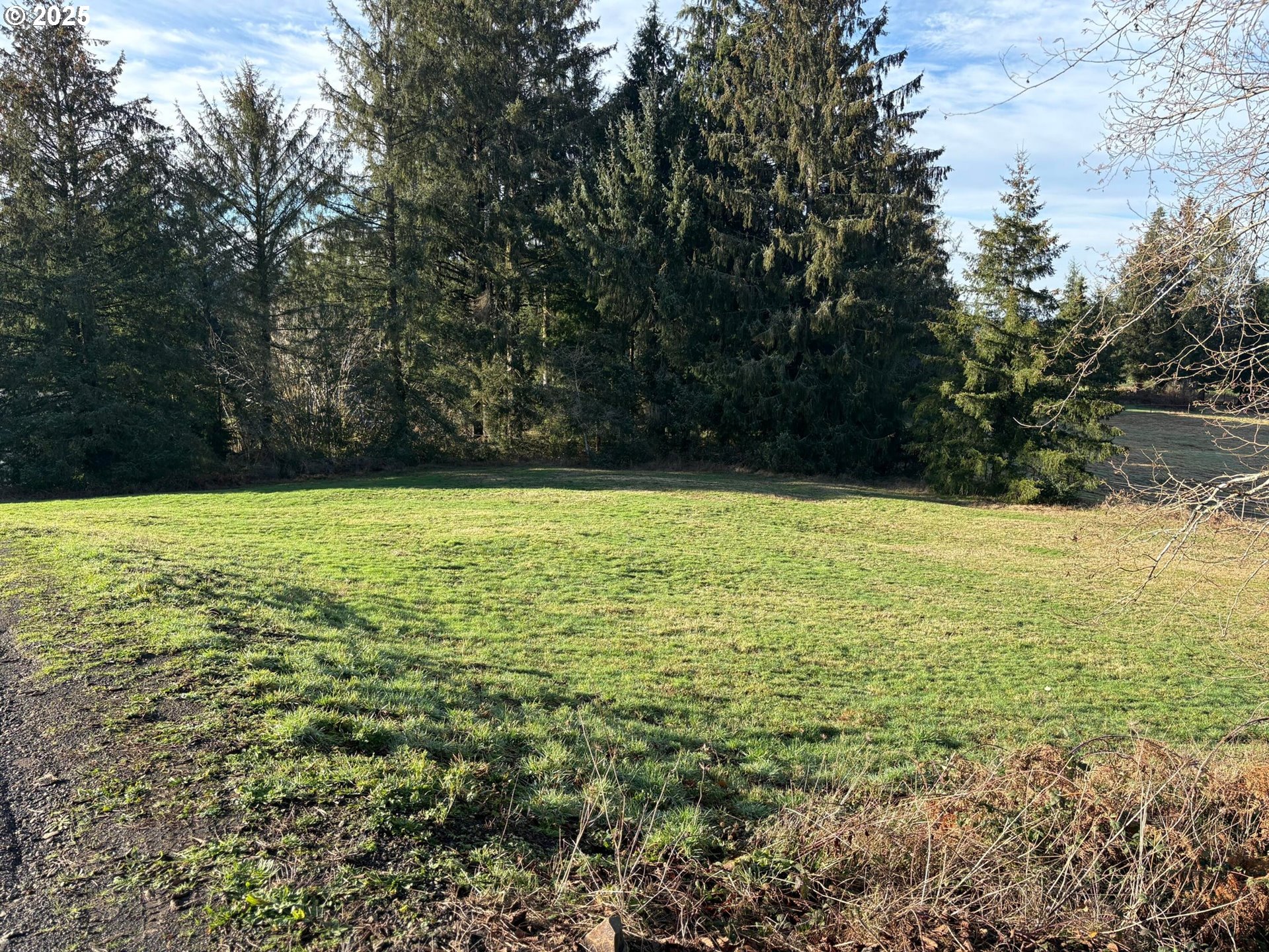 Hurliman Hill Road Tillamook, OR 97141 - Photo 8 of 8 Gallery Image 8