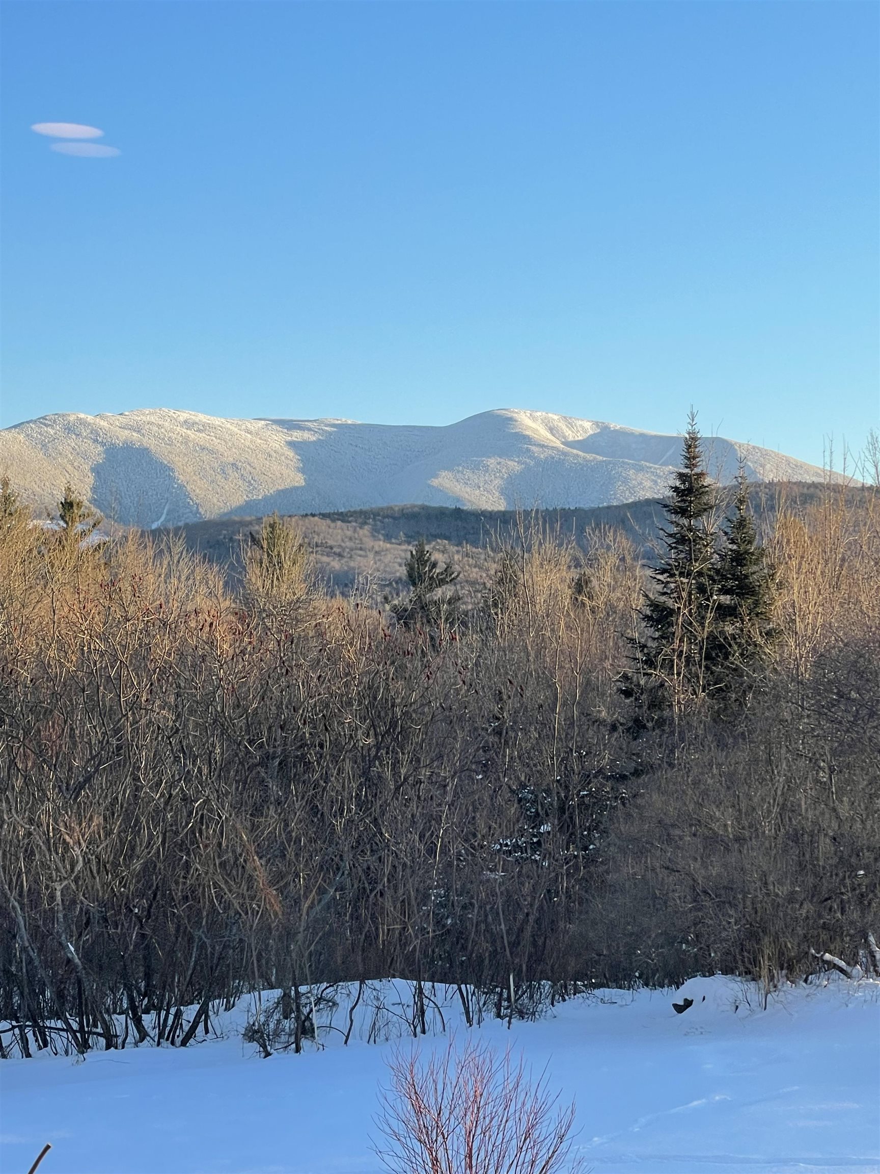 372 Brill Road Landaff, NH 03785 - Photo 50 of 59