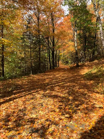 $1,150,000 | 372 Brill Road, Landaff, NH 03785