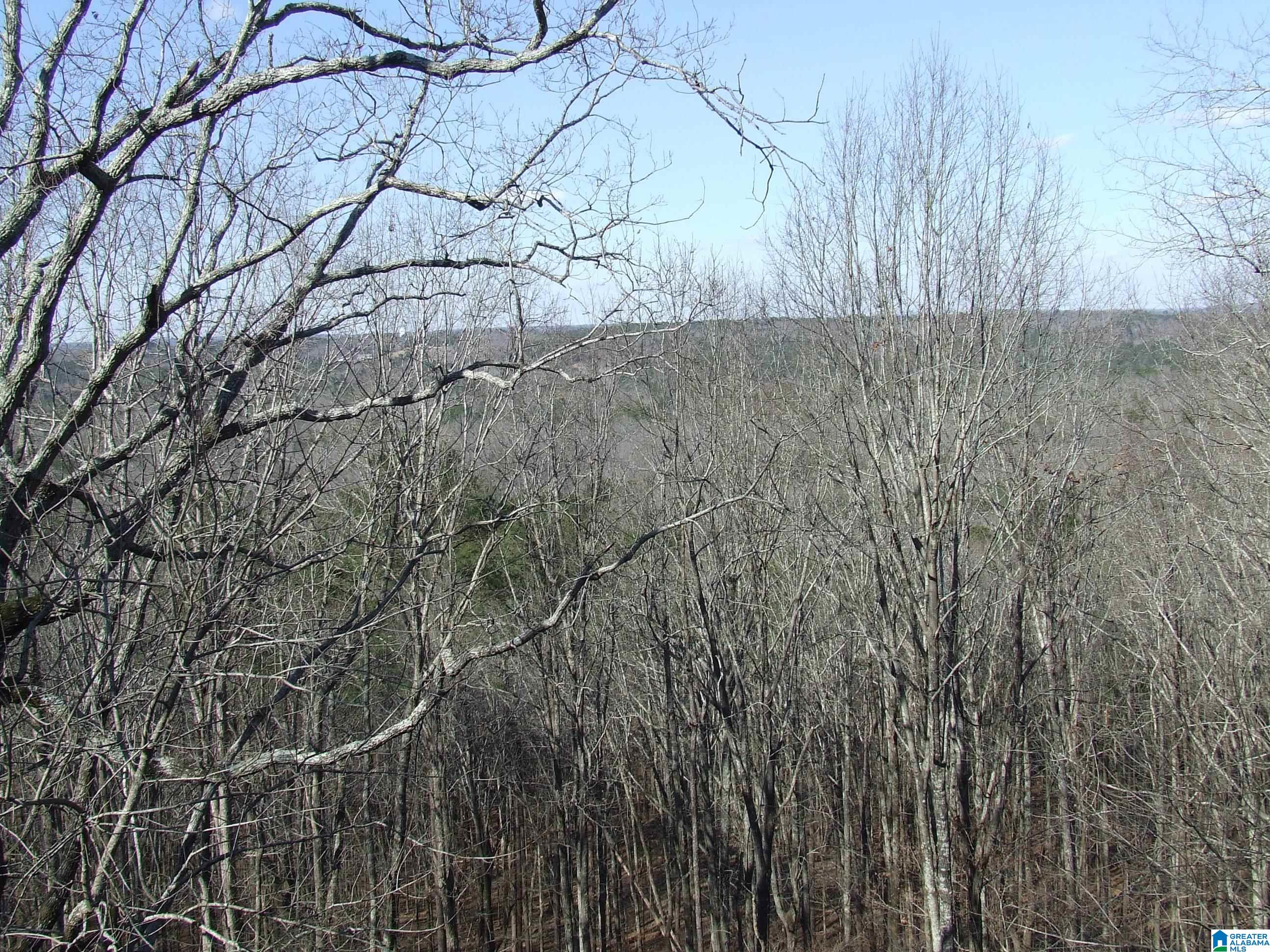 5510 South Shades Crest Road Bessemer, AL 35022 - Photo 3 of 9