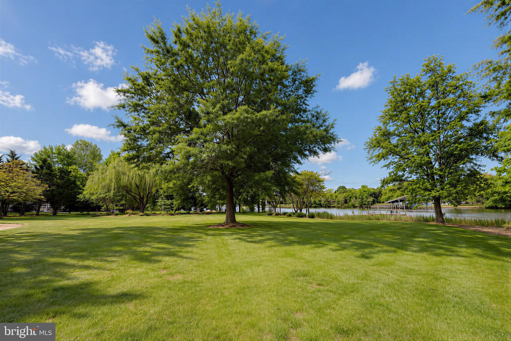 21045 Oakland Hall Road Avenue, MD 20609 - Photo 59 of 88