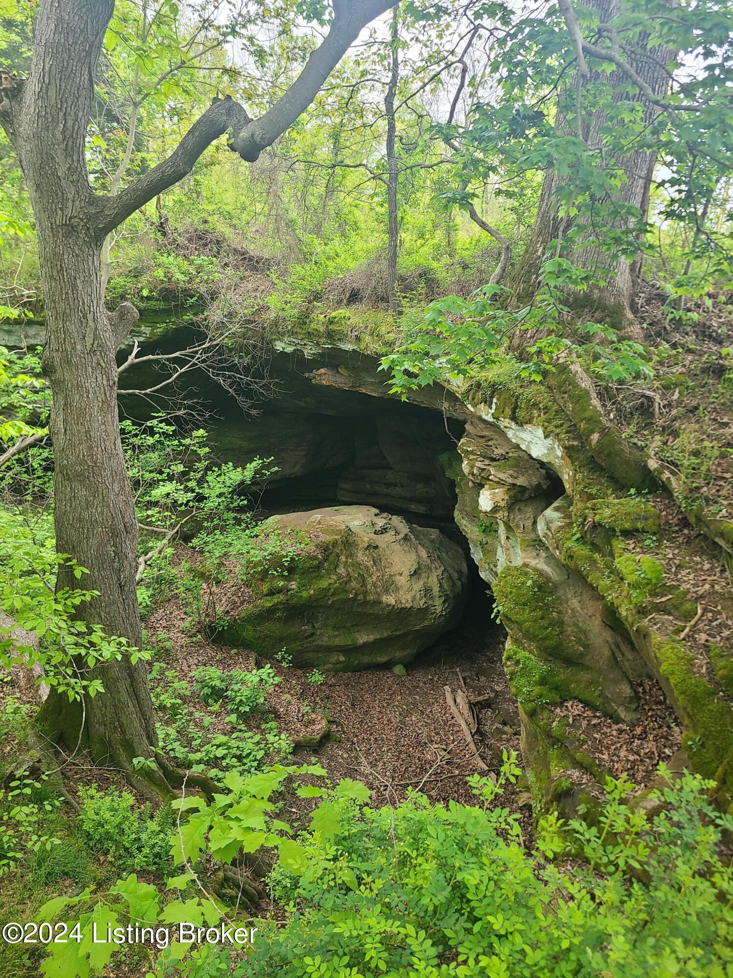 90 Cub Run Hollow Road Cub Run, KY 42729 - Photo 46 of 47 20240426_084106
