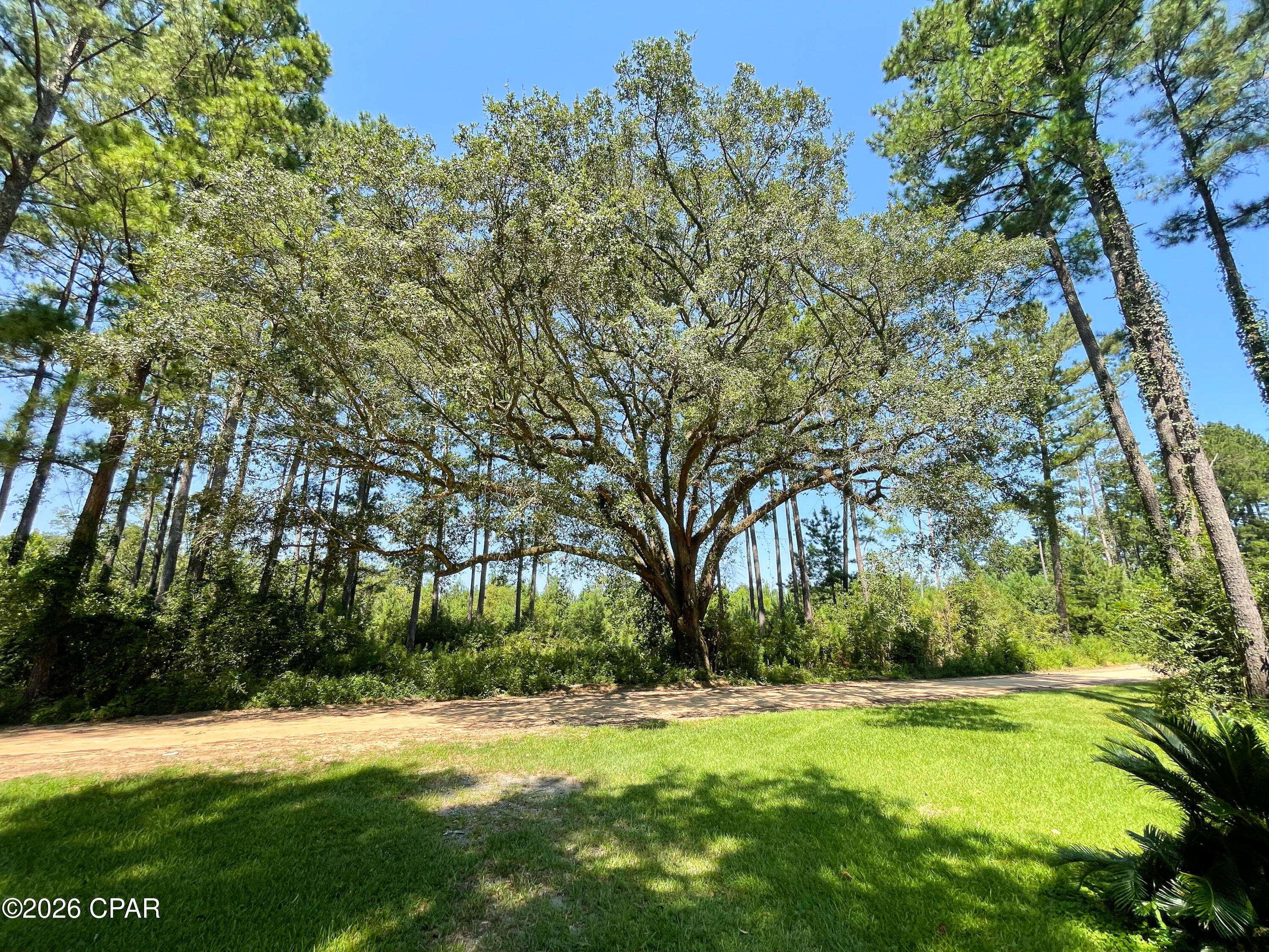 0 Canary Road Graceville, FL 32440 - Photo 10 of 15 Gallery Image 10