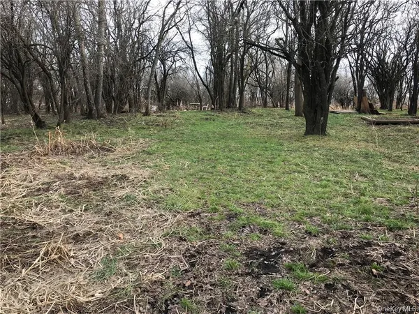 a big yard with lots of green space and tree