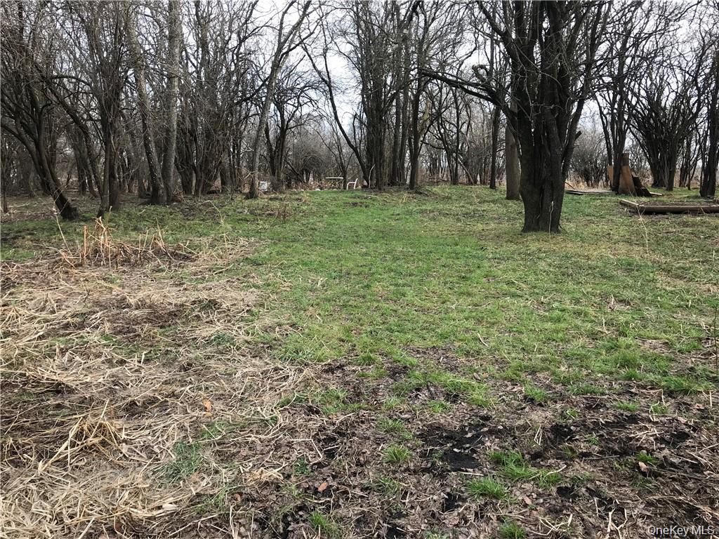 46 Jessup Switch Road Goshen, NY 10921 - Photo 2 of 5 a big yard with lots of green space and tree