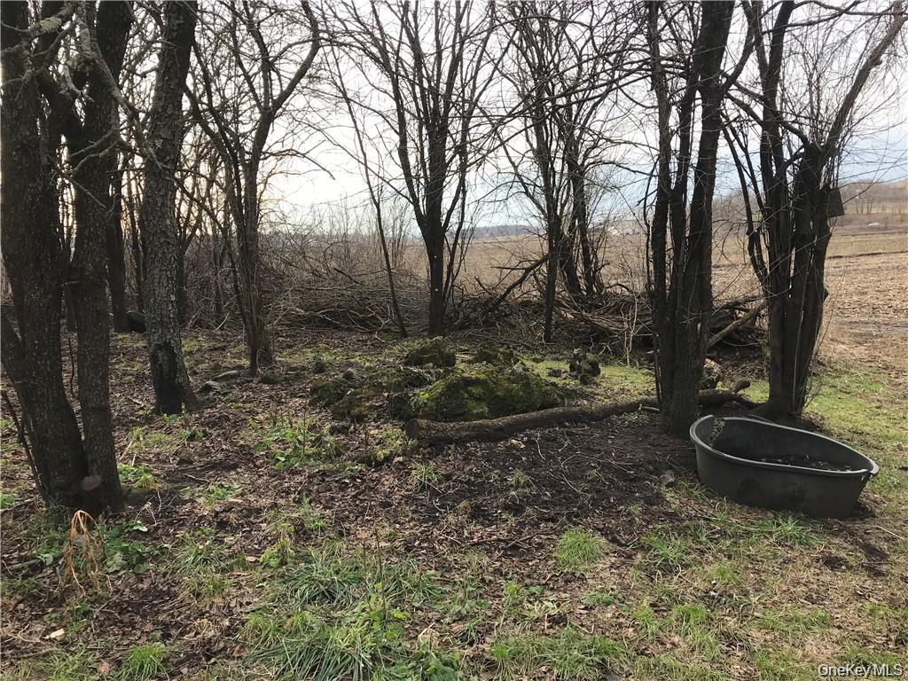 46 Jessup Switch Road Goshen, NY 10921 - Photo 3 of 5 a view of a backyard with trees