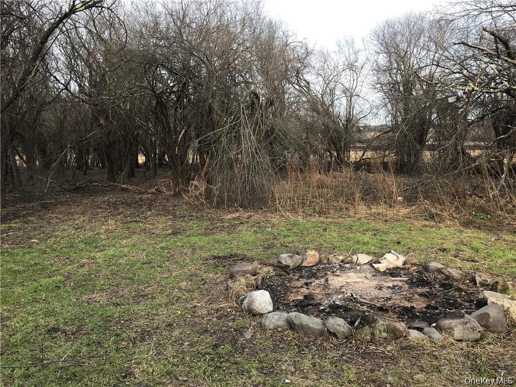 46 Jessup Switch Road Goshen, NY 10921 - Photo 5 of 5 a backyard of a house with lots of green space