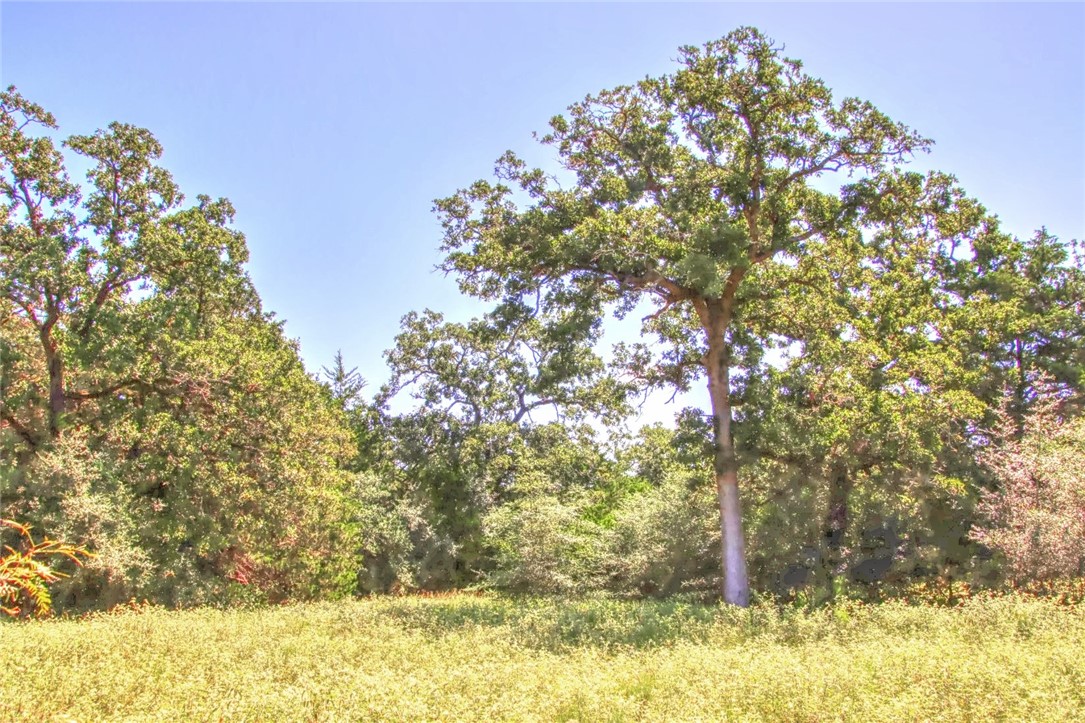 3 Hellinger Road Flatonia, TX 78941 - Photo 1 of 1