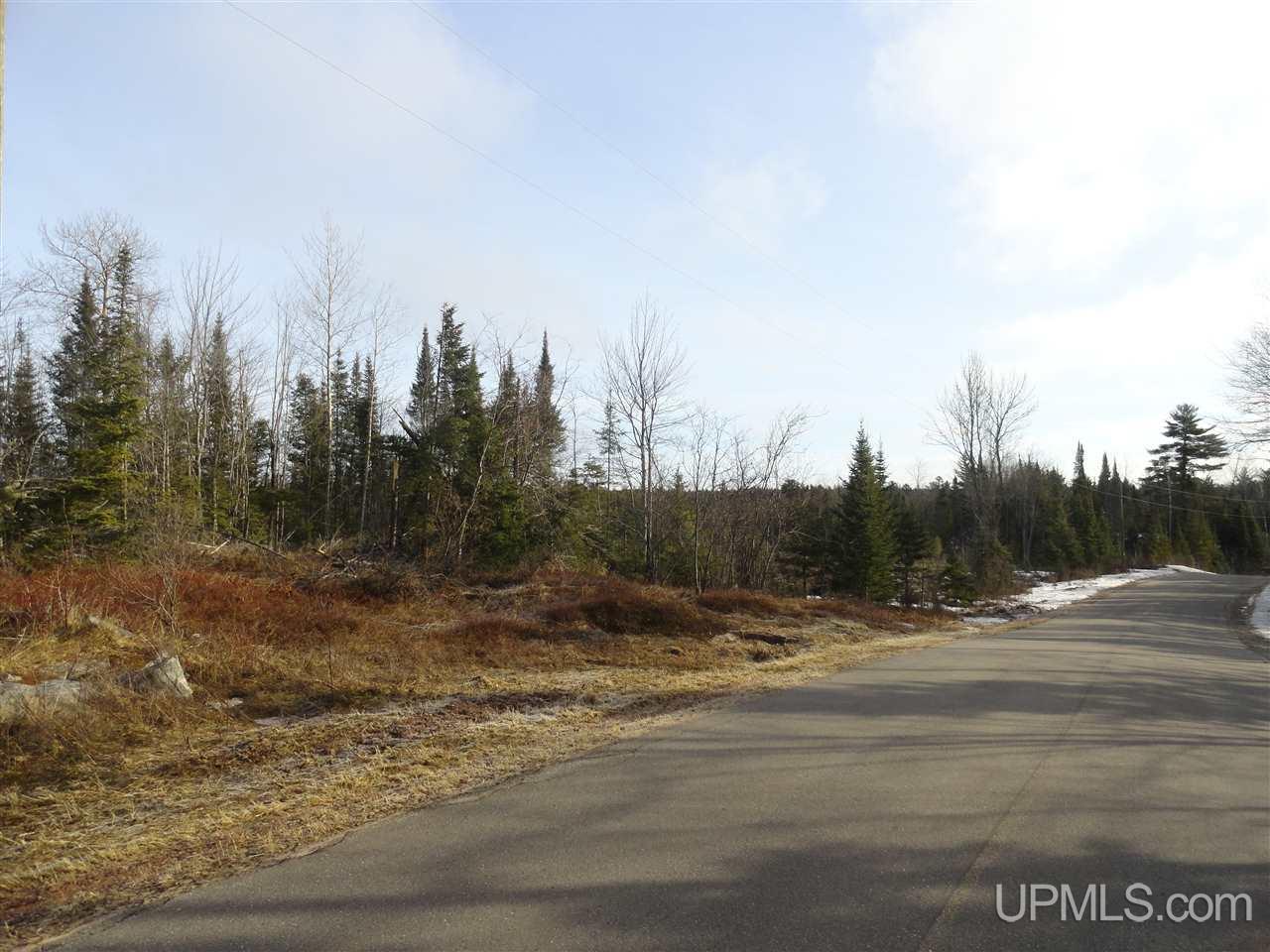 116-acres 116-acres Co Road Negaunee, MI 49866 - Photo 22 of 37