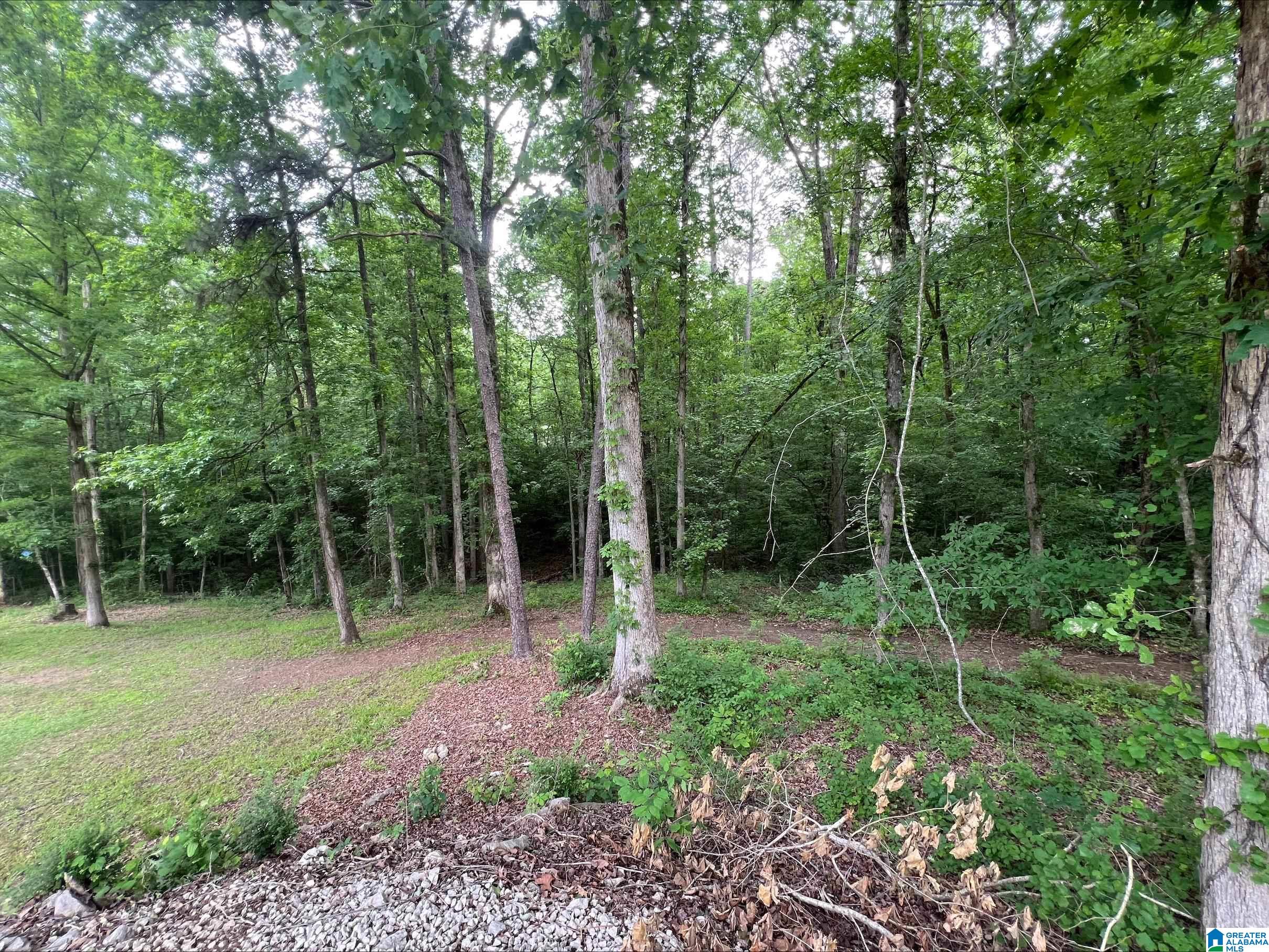 9647 Camp Oliver Road Adger, AL 35006 - Photo 28 of 40