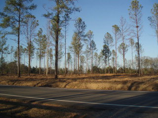 0 Piper Road-lot 3 Ridge Spring, SC 29129 - Photo 1 of 1