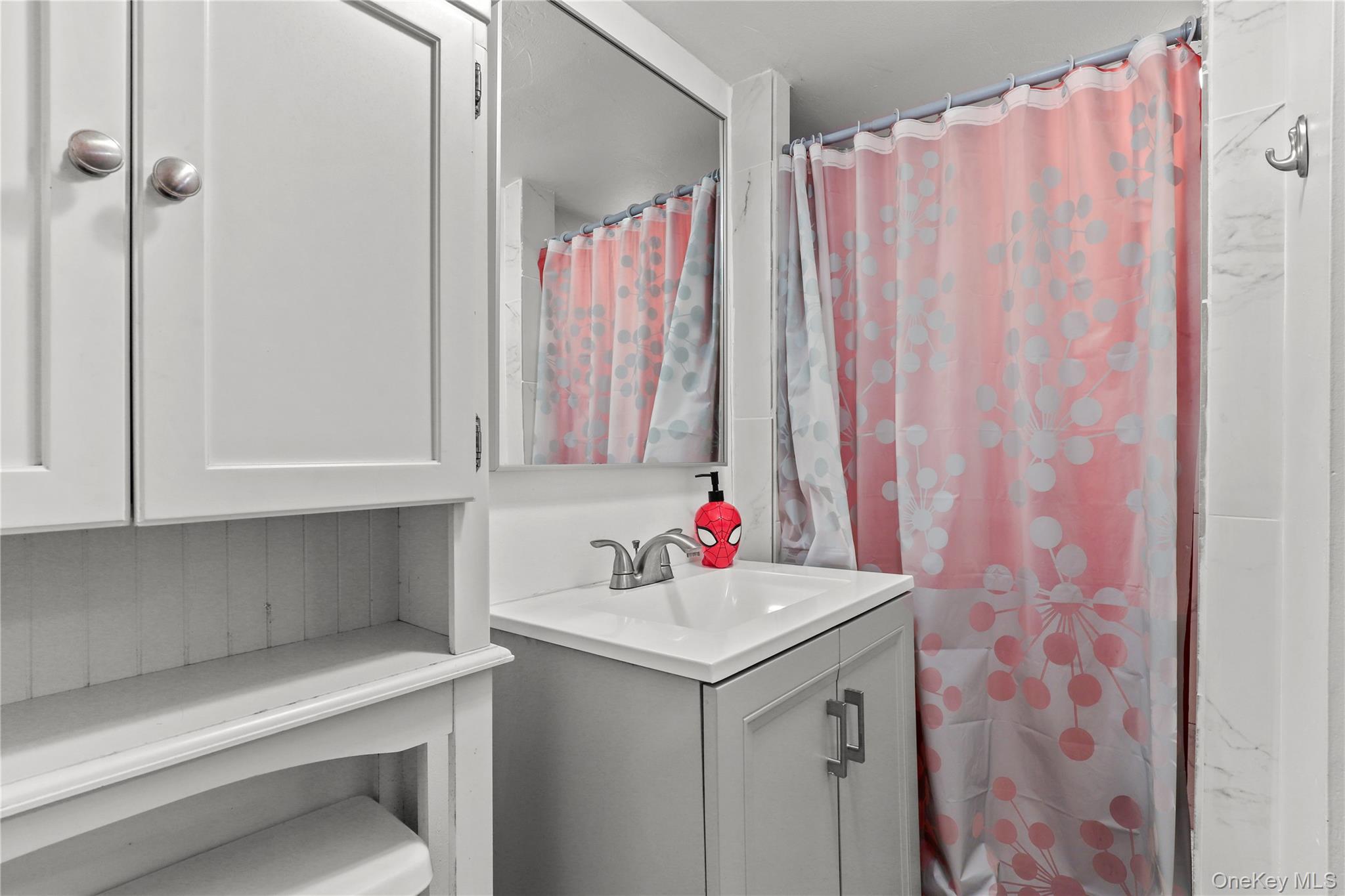 69 Clinton Avenue New Rochelle, NY 10801 - Photo 26 of 29 a bathroom with a sink vanity and a shower curtain
