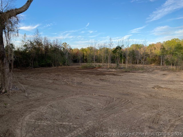 1634 Sweetie Road Fayetteville, NC 28312 - Photo 26 of 26 Pic from when cleared a few years ago