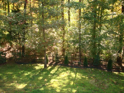 201 Whippoorwill Drive Oak Ridge, TN 37830 - Photo 39 of 39 Additional Photo