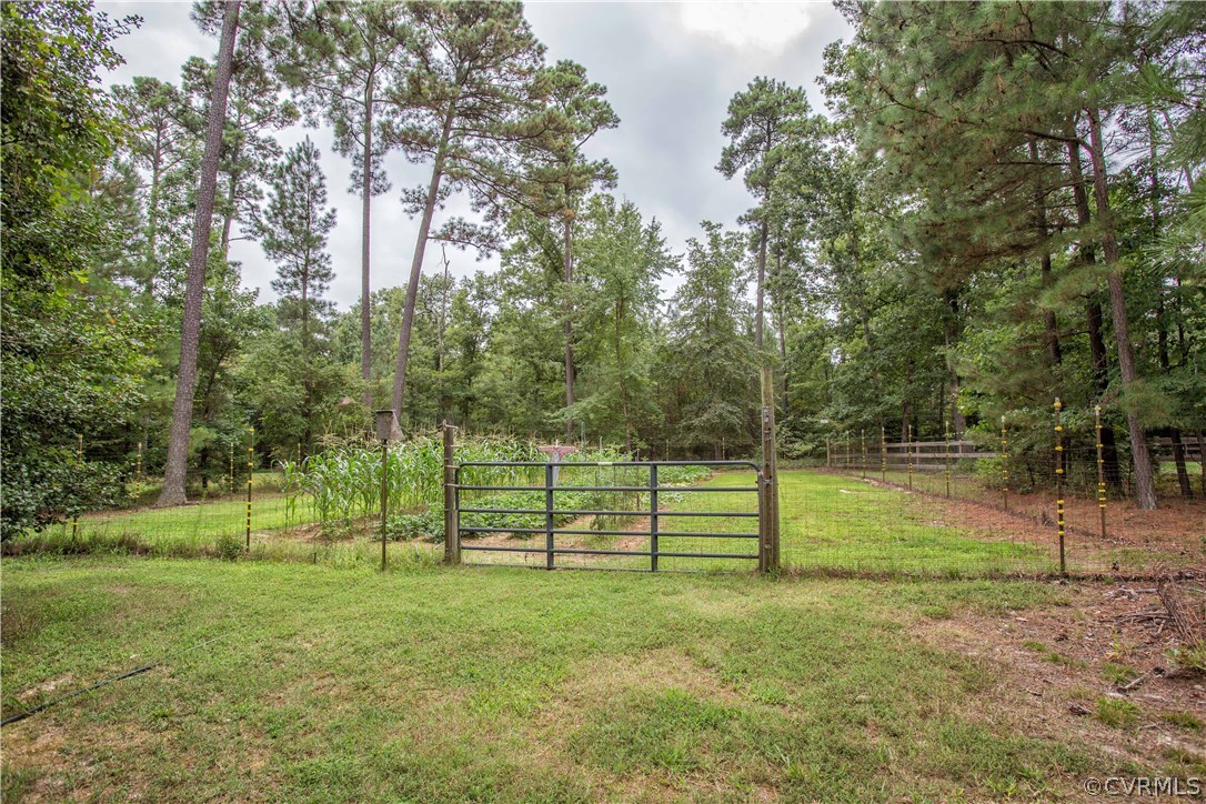 12941 Spring Run Road Midlothian, VA 23112 - Photo 42 of 48 a view of a park with large trees