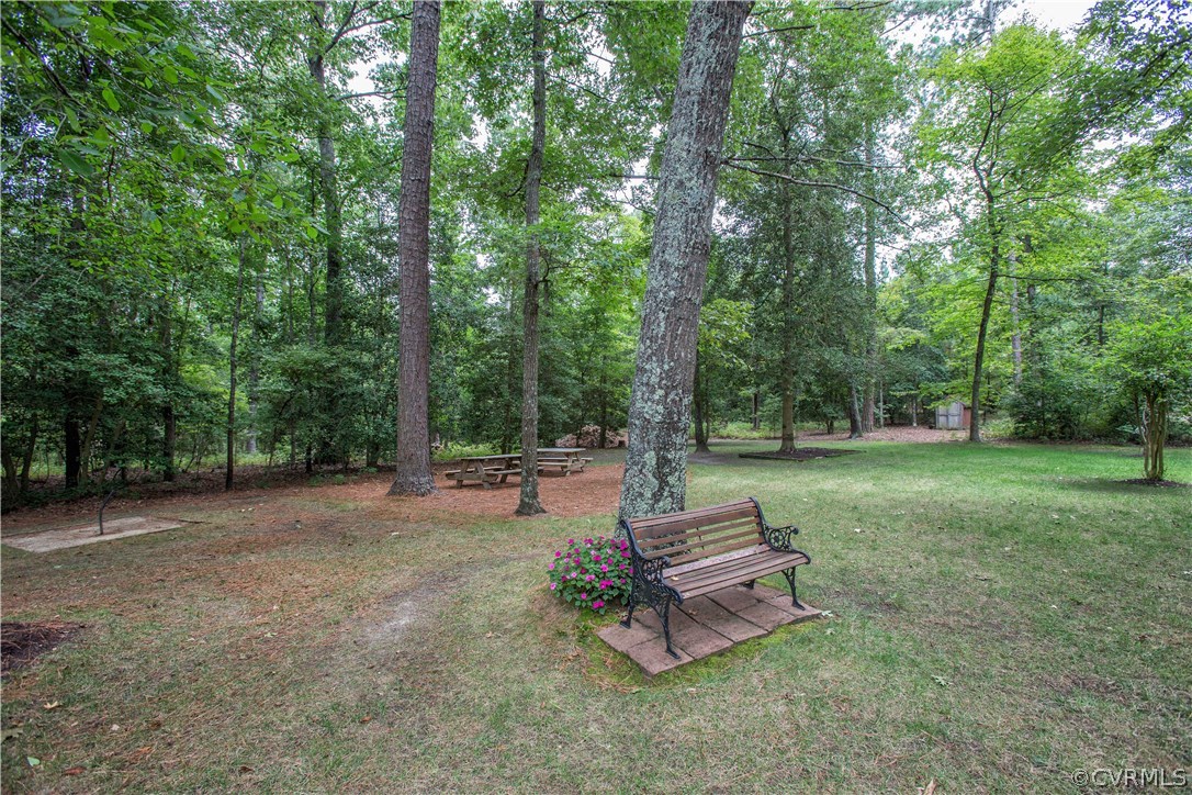 12941 Spring Run Road Midlothian, VA 23112 - Photo 44 of 48 a view of a park with large trees