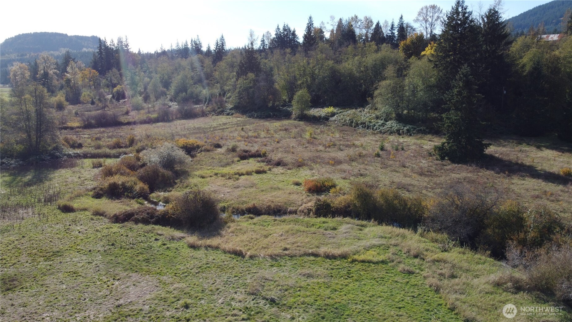 18204 Marriott Lane Bellingham, WA 98229 - Photo 12 of 22 a view of a dry yard with trees
