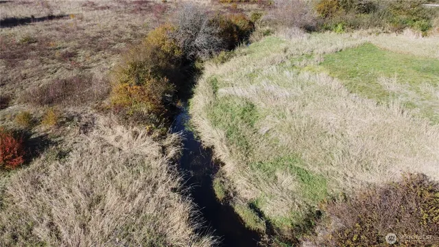 a view of a dry yard with green space