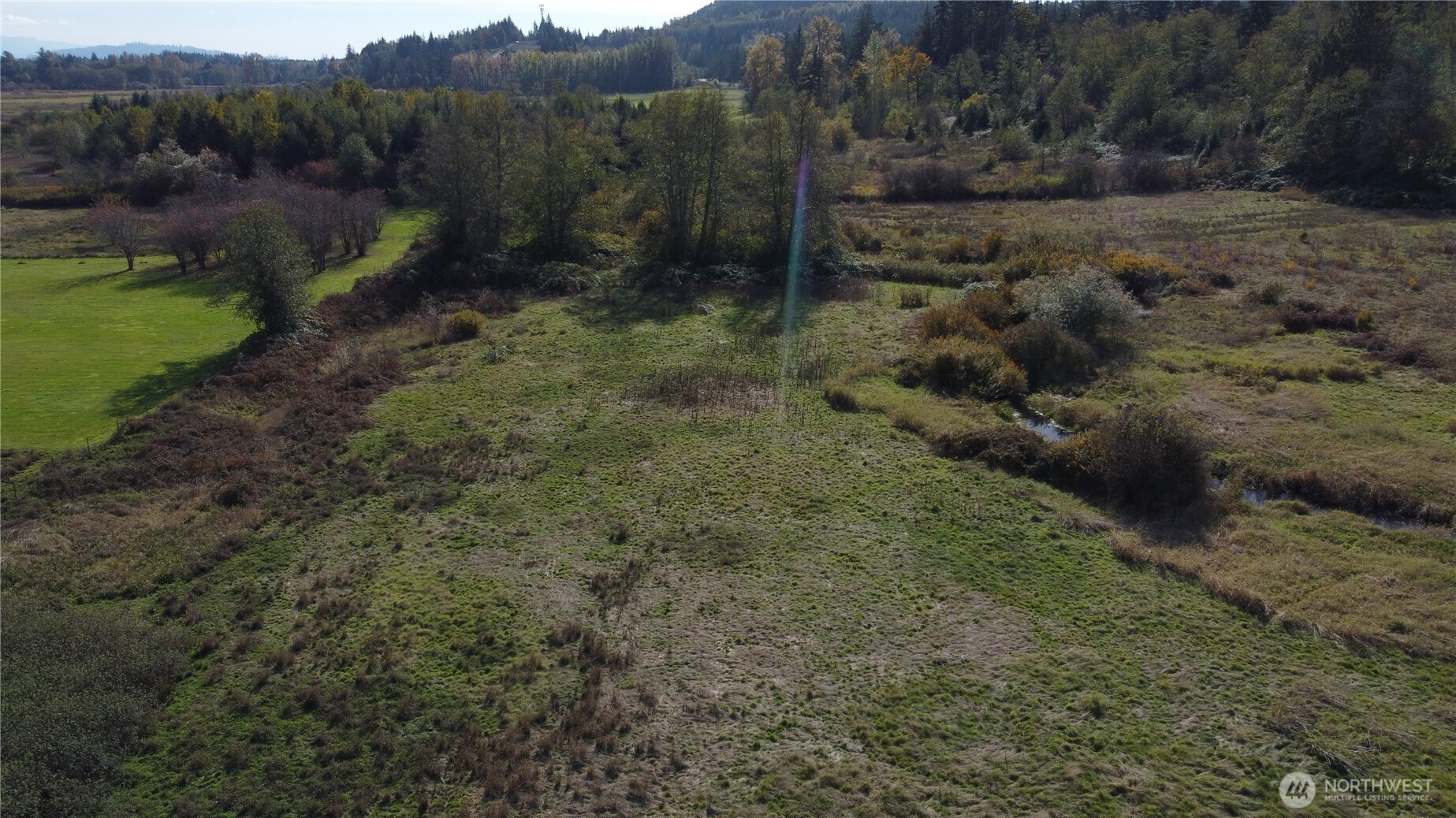 18204 Marriott Lane Bellingham, WA 98229 - Photo 15 of 22 a view of a dry yard with green space