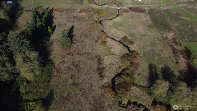 a view of a yard with an outdoor space