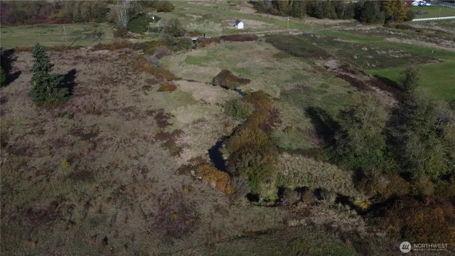 a view of a forest with a dry yard