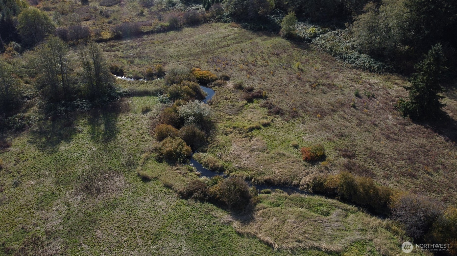 18204 Marriott Lane Bellingham, WA 98229 - Photo 20 of 22 a view of a forest with a dry yard