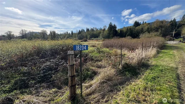 a view of a town with mountains in the background
