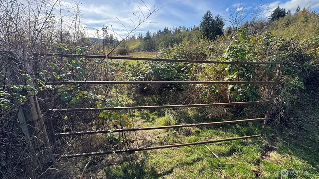 a view of a tennis court with lots of trees in the background