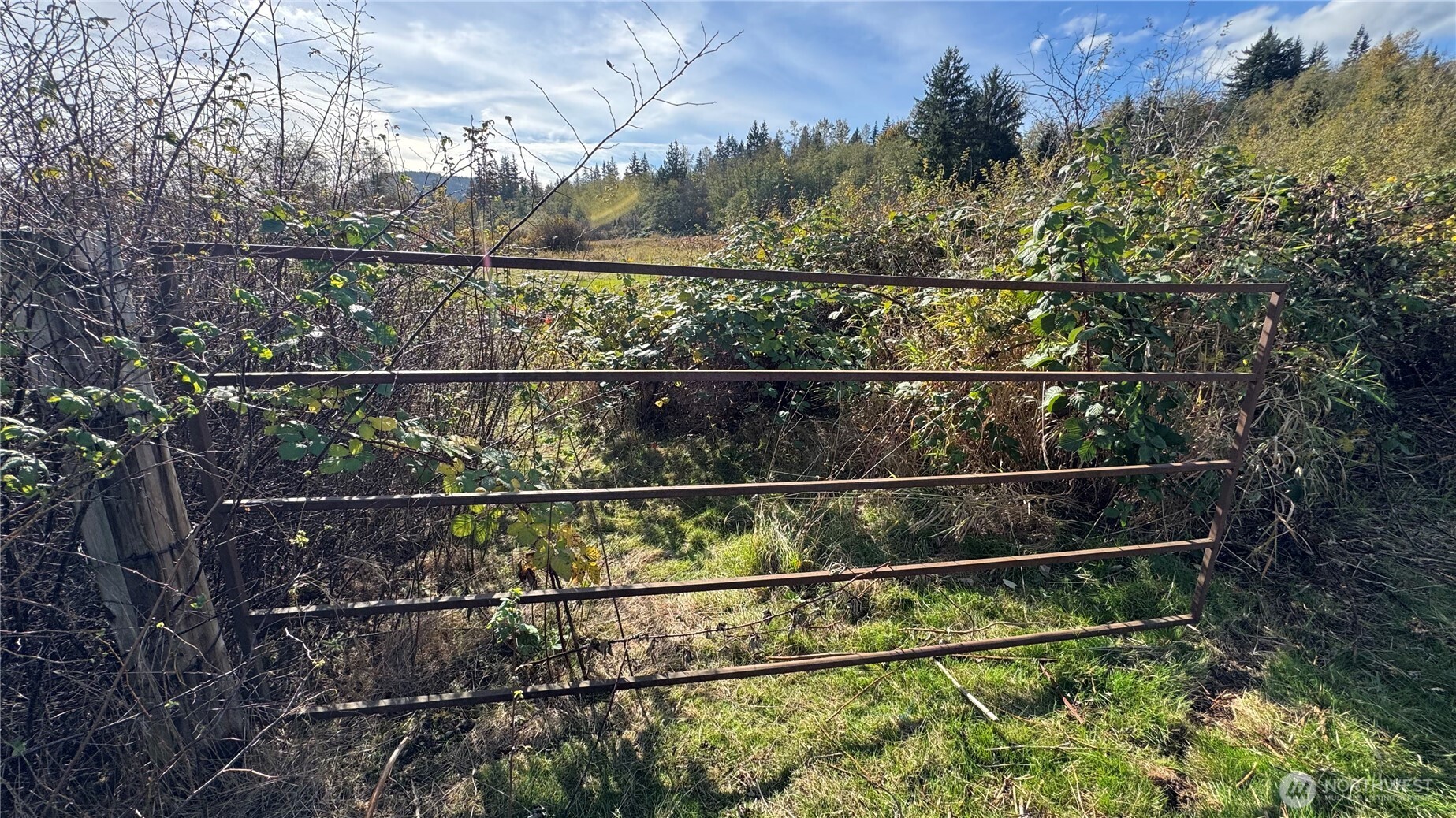 18204 Marriott Lane Bellingham, WA 98229 - Photo 5 of 22 a view of a tennis court with lots of trees in the background