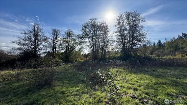 a view of a back yard