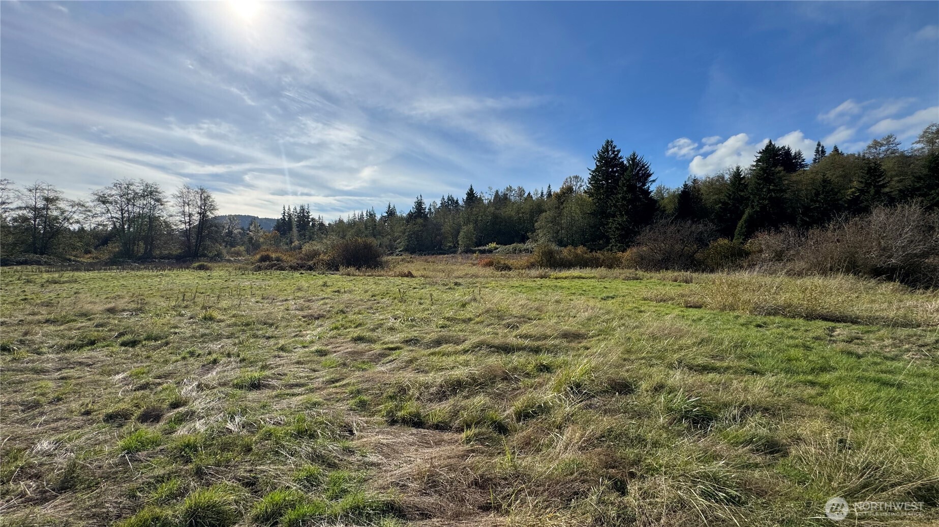 18204 Marriott Lane Bellingham, WA 98229 - Photo 9 of 22 a view of a field with an trees