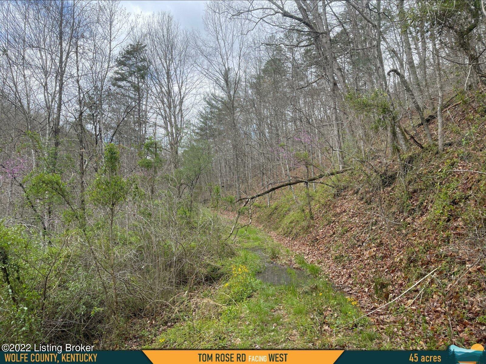0 Tom Rose Br Road Campton, KY 41301 - Photo 30 of 36 32