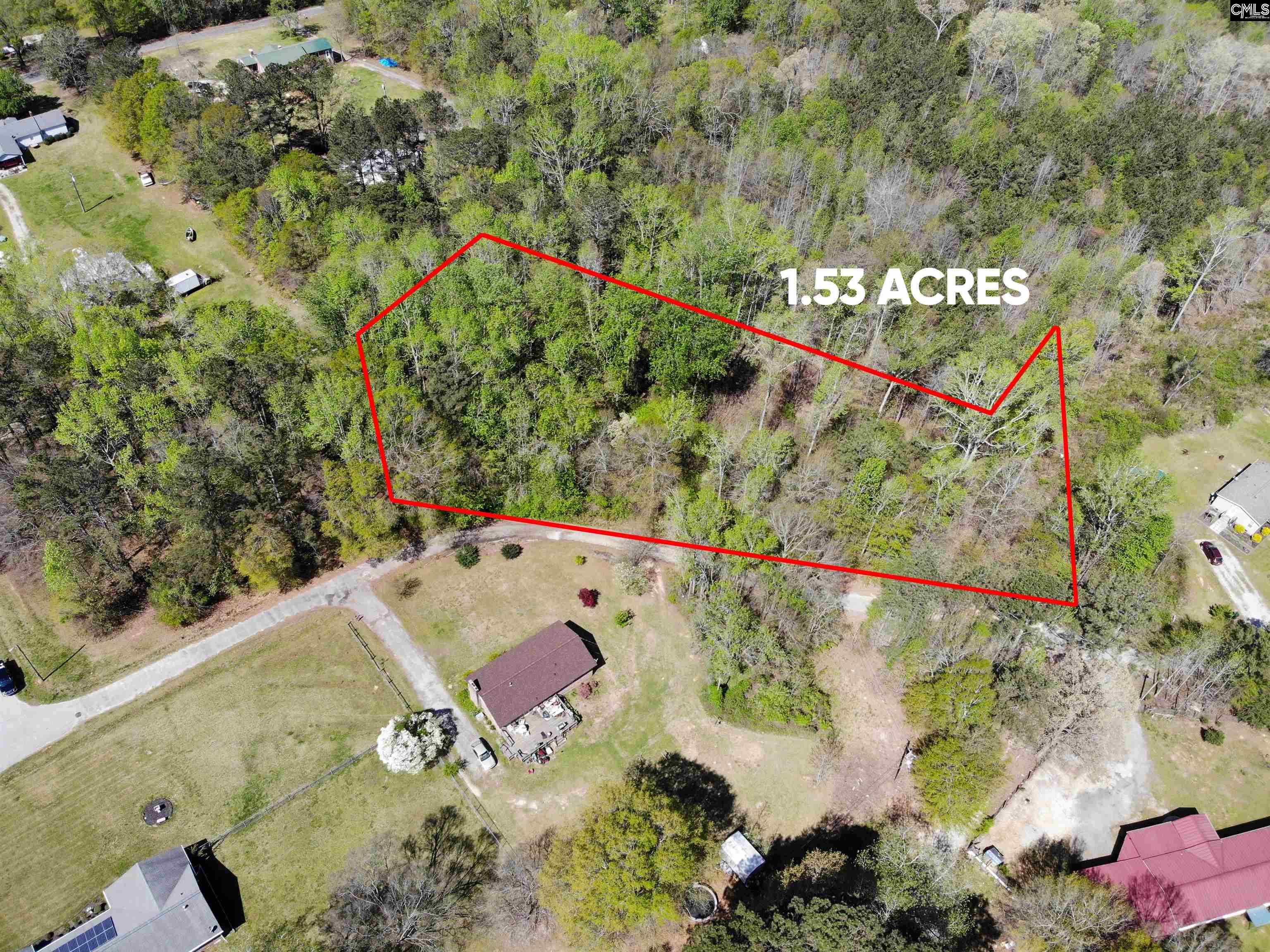 Tbd James Road Joanna, SC 29351 - Photo 10 of 82