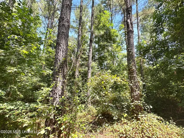 $144,000 | 5 County Road 24, Enterprise, MS 39330