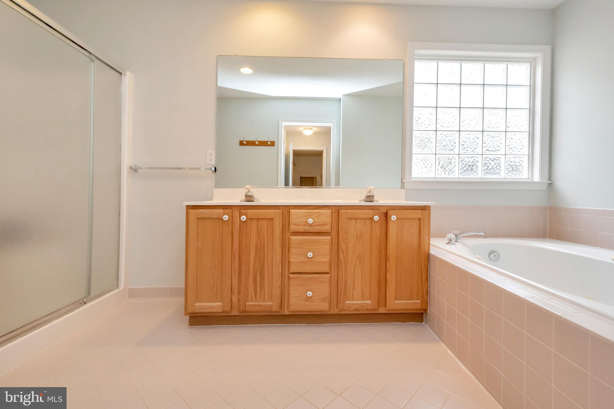 106 Greenspring Road Locust Grove, VA 22508 - Photo 15 of 31 Spa-like master bath for relaxation