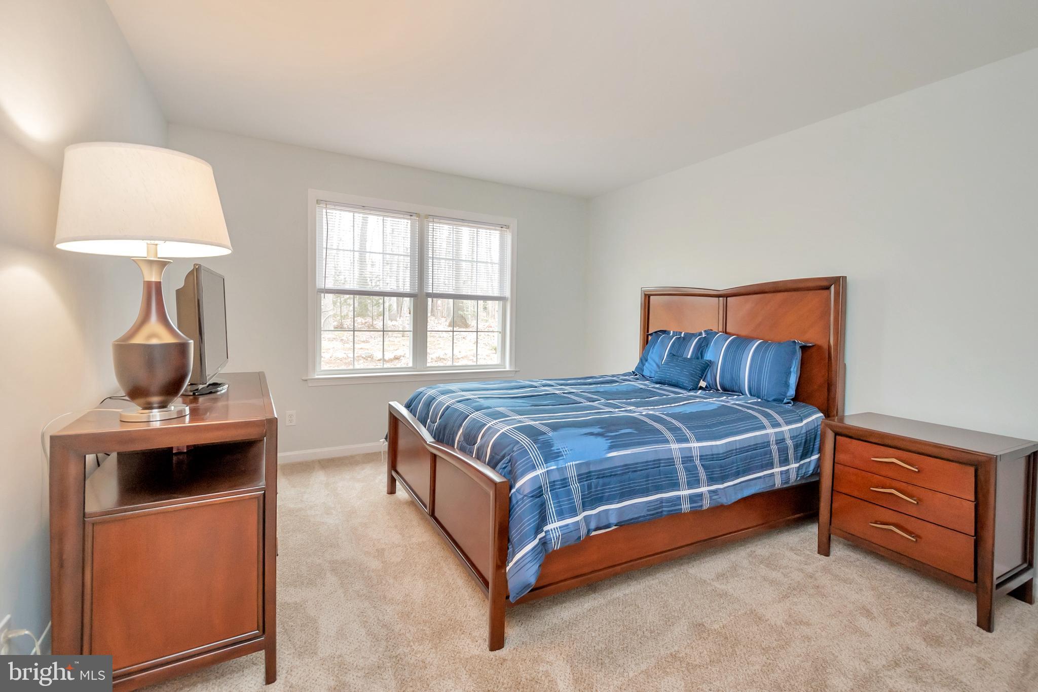 106 Greenspring Road Locust Grove, VA 22508 - Photo 18 of 31 Spacious bedroom for family or guests