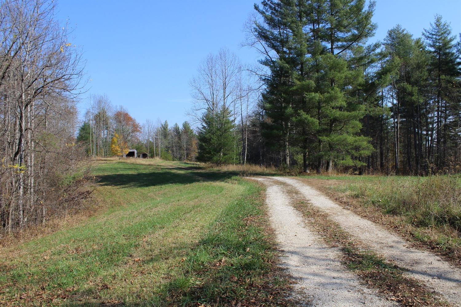 3600 Sandy Ridge Road Campton, KY 41301 - Photo 3 of 30 Photo 3