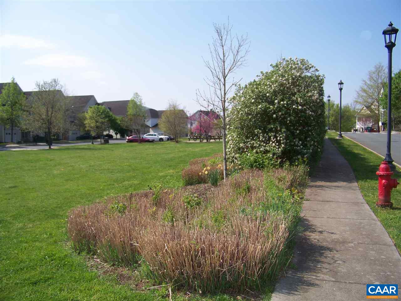 131 Burnet Street Charlottesville, VA 22902 - Photo 13 of 38 a view of a park with large trees