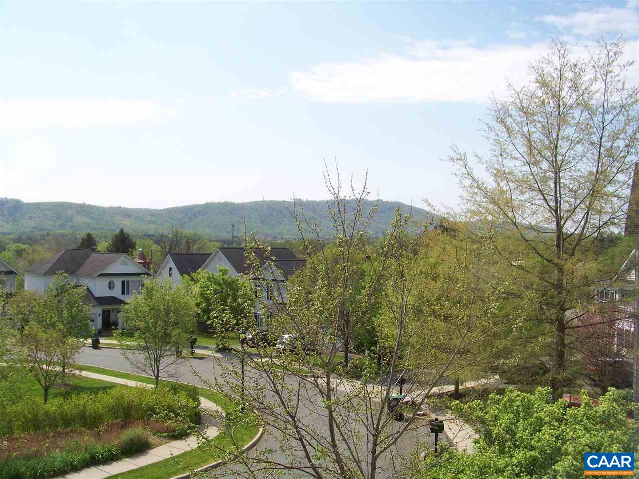 131 Burnet Street Charlottesville, VA 22902 - Photo 16 of 38 a view of a back yard