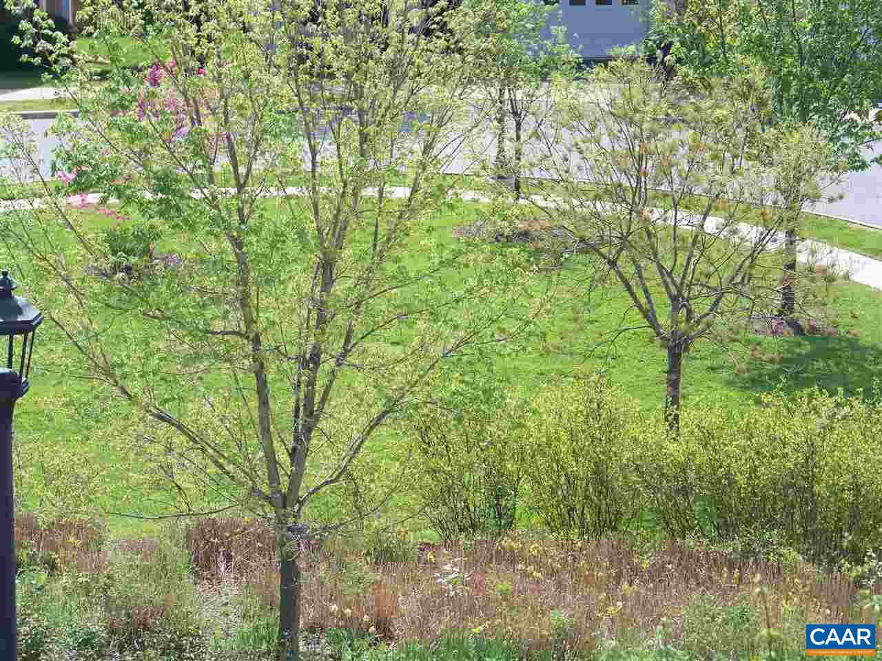 131 Burnet Street Charlottesville, VA 22902 - Photo 18 of 38 a backyard of a house with lots of plants and tree