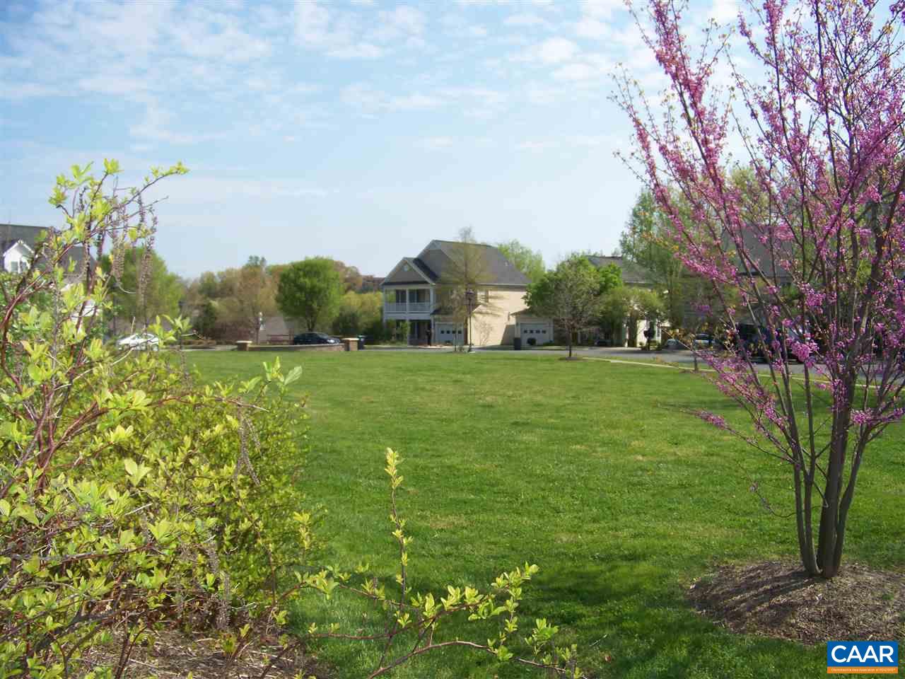 131 Burnet Street Charlottesville, VA 22902 - Photo 9 of 38 a view of a field with an trees