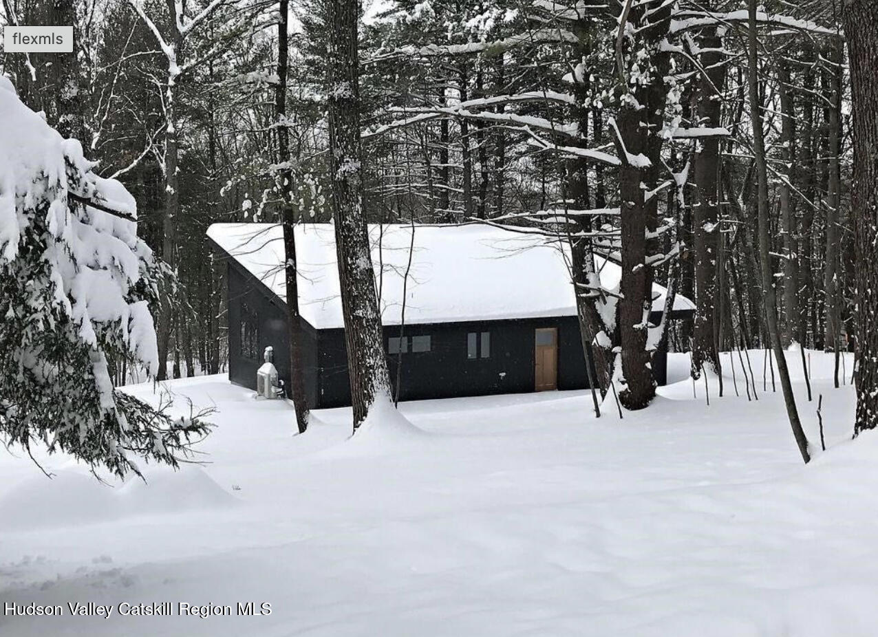 60 Connacher Road Ghent, NY 12075 - Photo 2 of 32 Winter Pic