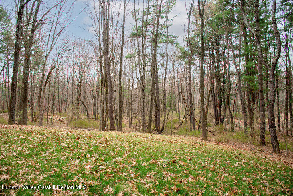 60 Connacher Road Ghent, NY 12075 - Photo 27 of 32 DSC_5453