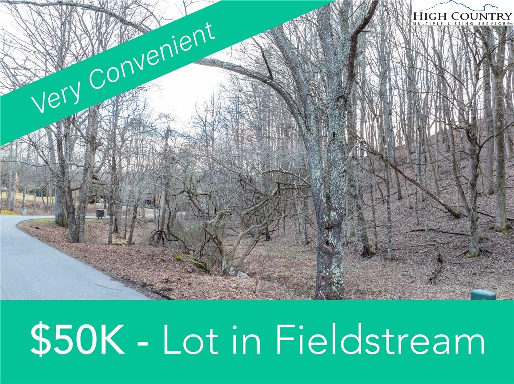Fieldstream Drive Boone, NC 28607 - Photo 1 of 9 Gallery Image 1