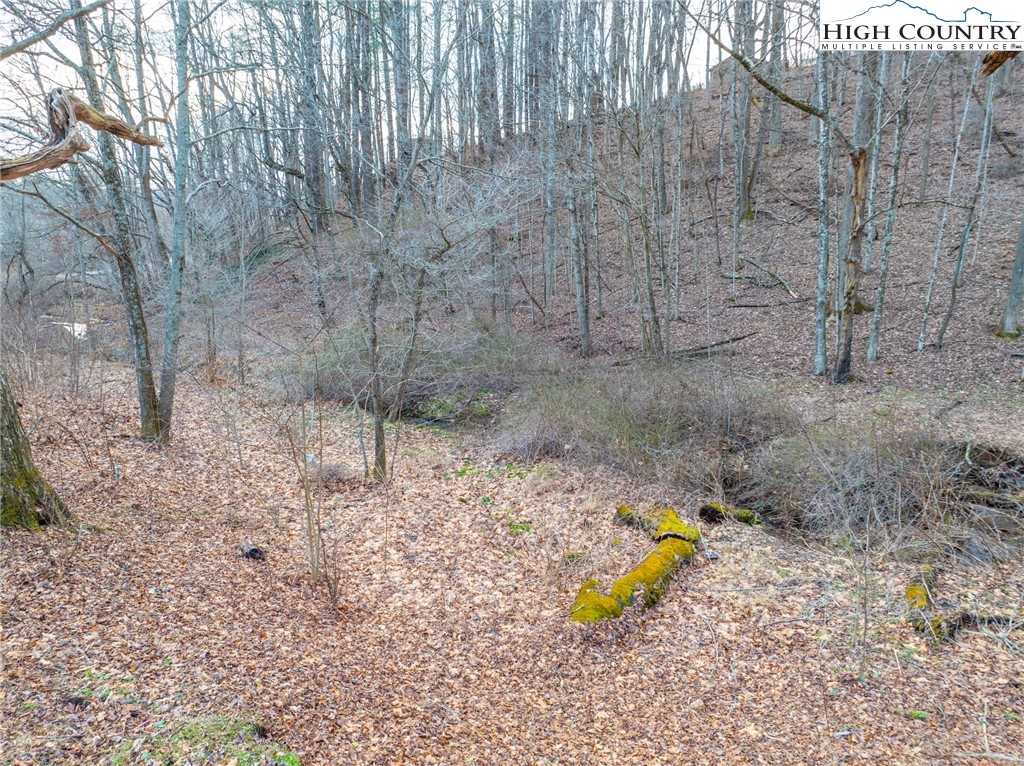 Fieldstream Drive Boone, NC 28607 - Photo 7 of 9 Gallery Image 7