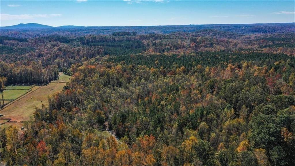 8205 Nicholson Road Cumming, GA 30028 - Photo 4 of 10 an aerial view of residential house and green space