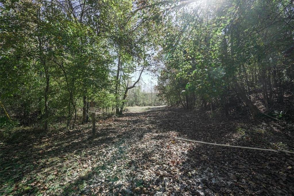 8205 Nicholson Road Cumming, GA 30028 - Photo 8 of 10 a view of a forest with trees in the background