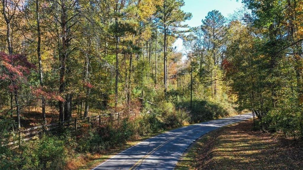 8205 Nicholson Road Cumming, GA 30028 - Photo 10 of 10 a view of a forest with trees